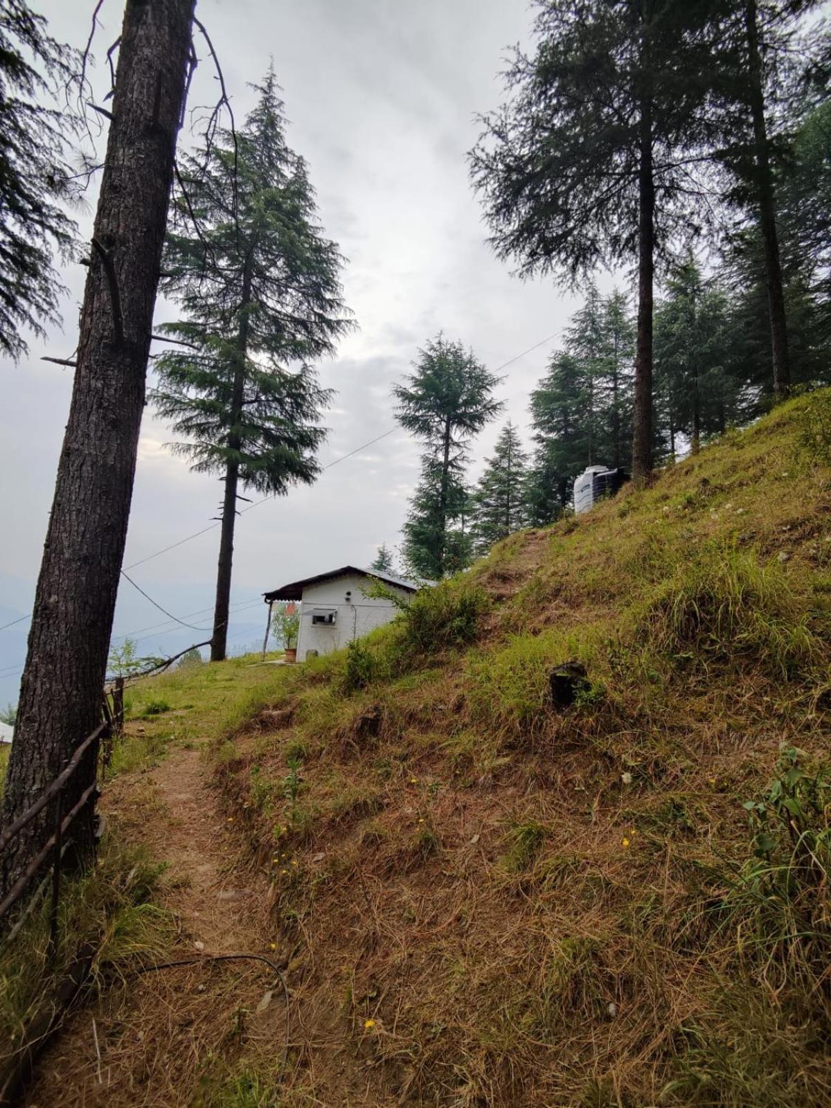Villa Little Himalayan Abode à Almora Extérieur photo